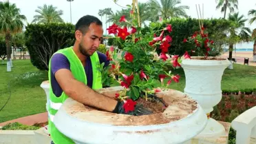 Mersin'de mevsimlik çiçek dikimi tamamlandı