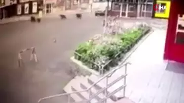 Şehre inen ayılar ortalığı birbirine kattı