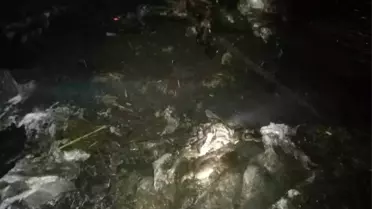 Ahır yangınında 120 küçükbaş hayvan telef oldu