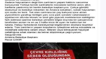 Amasra belediyesinden 'tabela' açıklaması