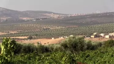 'Kilis karası' üreticisinin yüzü gülüyor