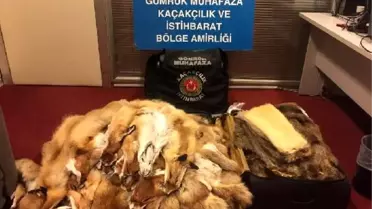 Esenboğa havalimanı'nda kunduz ve tilki postları ele geçirildi