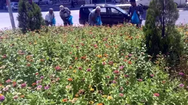 Kilis'te çiçeklendirme çalışmaları