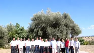 Ezzib / davut er : yüksek maliyetler ihracatı zora sokuyor
