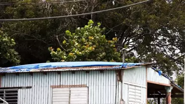 Tropikal Fırtına Dorian, Porto Riko'yu teğet geçti