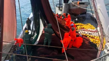 Av yasağı bitti: Balıkçılar, 30 yılda sezonun ilk gününde ilk kez bu kadar az palamut yakaladı