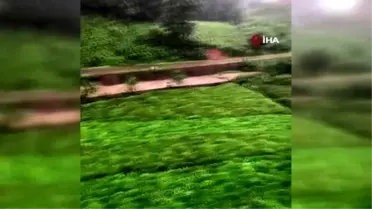 Rize'nin Derepazarı ilçesinde etkili olan yağış hayatı olumsuz etkiledi