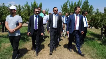 Eğirdir MAREM'de Şeftali Hasat Bayramı düzenlendi