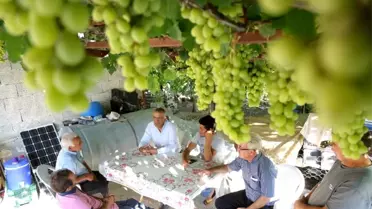 Başkan Tarhan'dan en az oy aldığı Tol Mahallesi'ne ziyaret