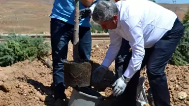 Yeşil Bünyan için ağaçlandırma çalışmaları devam ediyor