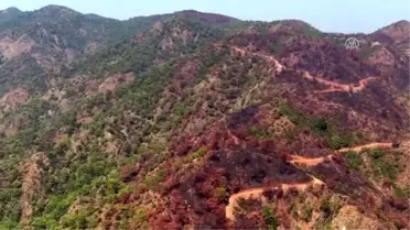 Muğla'da yanan ormanlık alan havadan görüntülendi