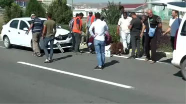 Otomobilin çarptığı yaya yaralandı