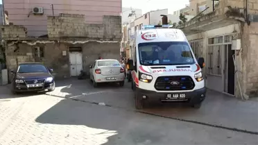 İncir ağacından düşen kadın yaralandı