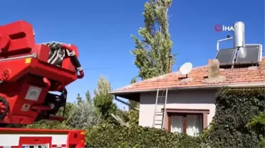 Ağaç budarken kafası ipe dolanan şahıs hayatını kaybetti