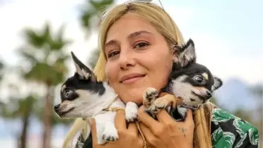 Irk köpekler, antalya'da yarışıyor