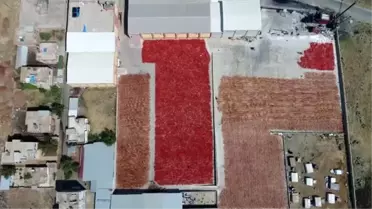 'Acılı eller'in mesaisi başladı