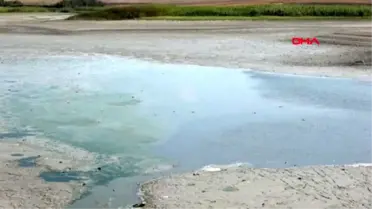 Kırklareli kuruyan oruçlu göleti'nde balık ölümleri sürüyor