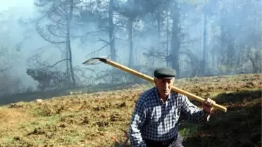 Bolu'da çıkan orman yangınında 10 dönümlük alan zarar gördü