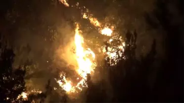 Hatay'da 25 farklı noktadaki orman yangınlarından 24'ü söndürüldü