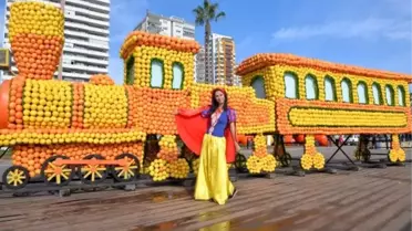 Narenciye festivali'nin hazırlıkları sürüyor