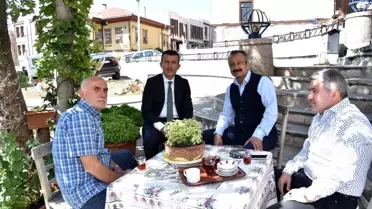 Ankara Kalesi'nin çınarları