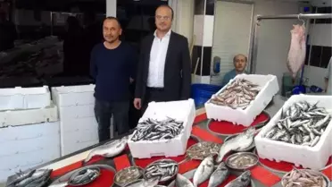 Balıkçılardan 'denizlerde av yasağı süresi' değerlendirmesi
