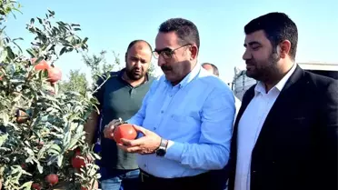 AK Parti'li Doğru: 'Pamuk üreticisi primden memnun kalacak'