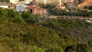Pendik'te orman yangını çıkardığı iddia edilen kişi kamerada