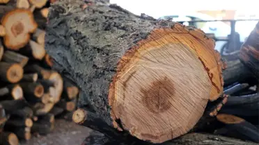 Şanlıurfa'da kış hazırlıkları başladı