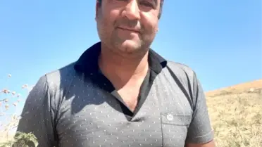 Soğan tarlada 30 kuruş, markette 2 buçuk lira