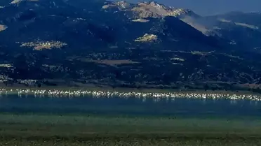 Yarışlı Gölü'nün kuruduğu iddiası