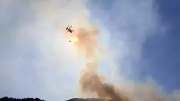 Osmaniye'de orman yangını