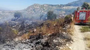 Samandağ'da bitki örtüsü yangını