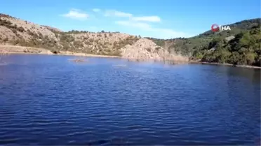 Barajdaki balık ölümleri balıkçıları endişelendirdi