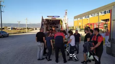 Elini 1 tonluk basınçla çalışan silindirler arasına sıkıştırdı