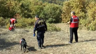 Ormana çıra toplamaya çıktı kendisinden bir daha haber alınamadı