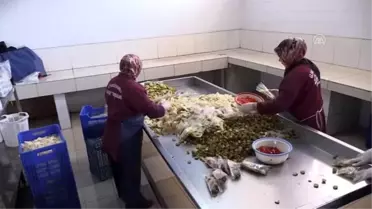 'Gedelek turşusu' kış sofralarını süslemeye hazırlanıyor