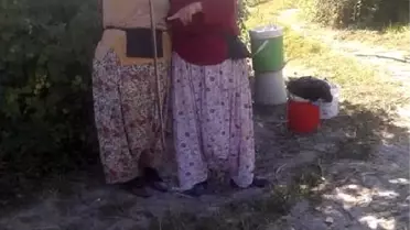 Tarlada çalışan iki kadın buldukları yılanla dans etti