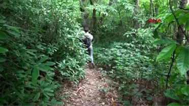 Rize nesilden nesile geçen atmaca tutkusu