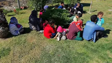Çanakkale'de 24 mülteci yakalandı