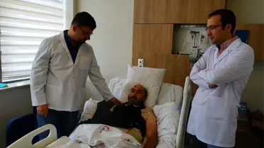 Ceviz ve kestane ağacından düşen 150 kişiden 15'i yoğun bakımda