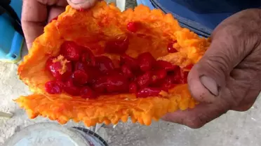 Her derde deva: 'Kudret narı'