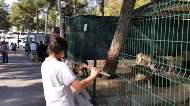 Çocukların barınaktaki hayvanlarla buluşması renkli görüntüler oluşturdu