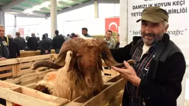 Eskişehir'de çoban festivali