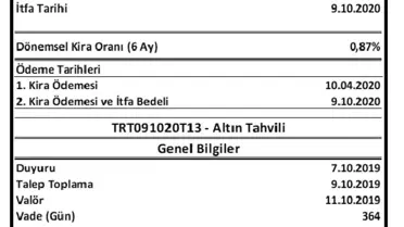 Hazine'den altın tahvili ve altına dayalı kira sertifikası ihracı