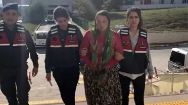 Sakarya'daki cinayetin nedeni 'ceviz hırsızlığı' çıktı
