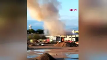 Avusturya'da havaalanı yakınındaki çöp arıtma tesisinde patlama: 9 yaralı