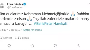 Ünlü isimlerden Barış Pınarı Harekatı'na destek
