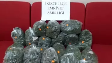 Ordu'da arı kovanında esrar ele geçirildi