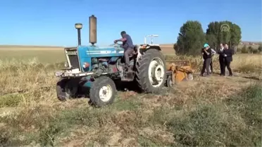 Yerli patates hasadı yapıldı